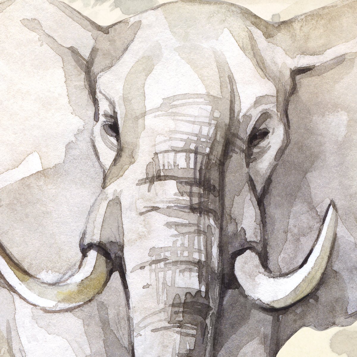 Naklejka na ścianę do przedszkola duży słoń afrykański