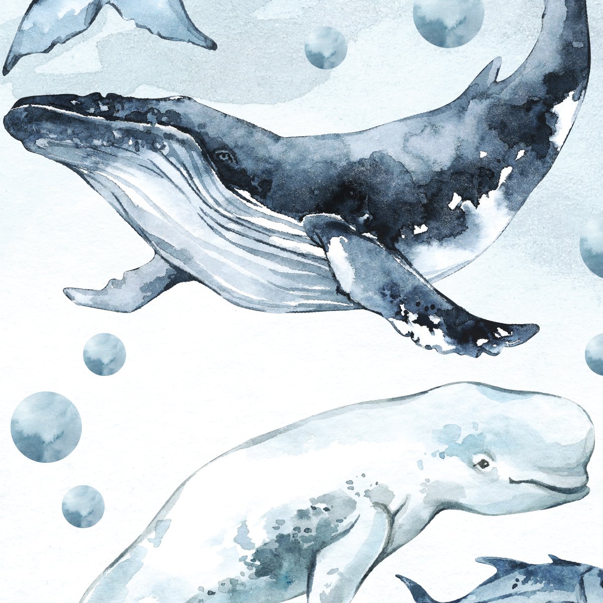 Naklejka na ścianę zwierzęta morskie