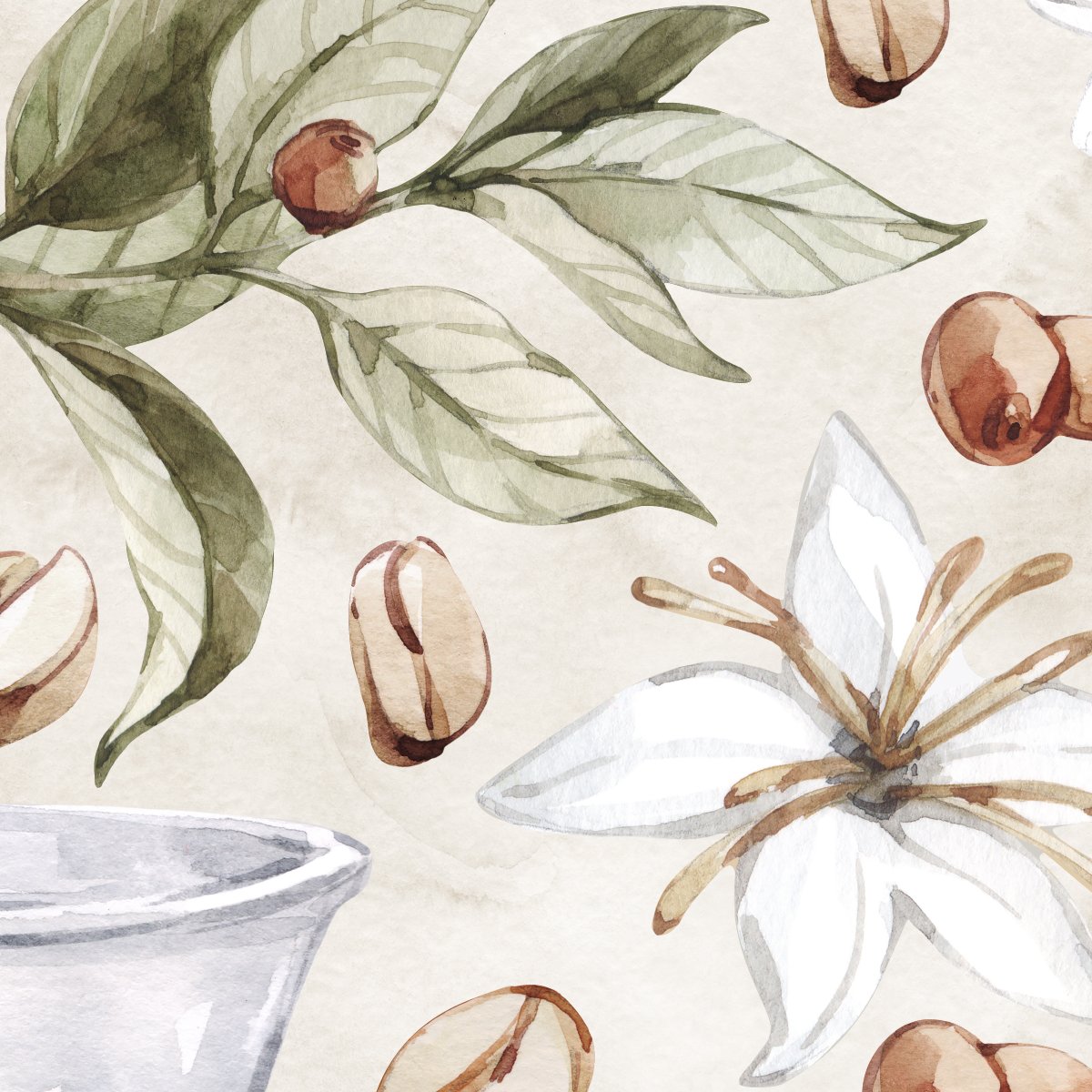 Naklejki kuchenne z gałązkami kawy, kwiatami i ziarnkami