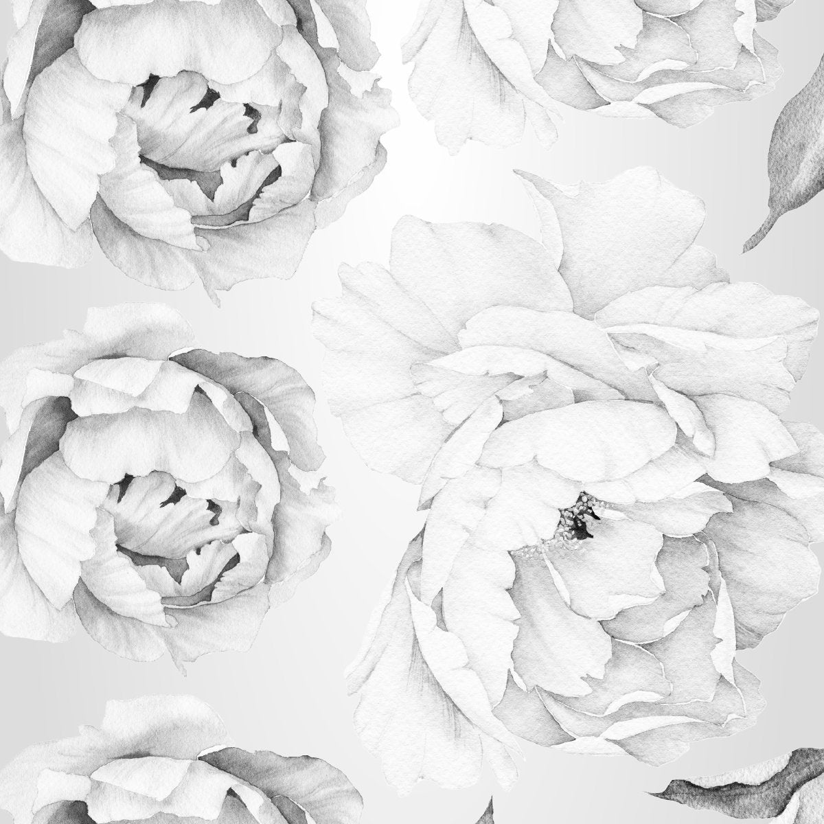 Naklejki na ścianę szare piwonie do salonu#kolor_szary