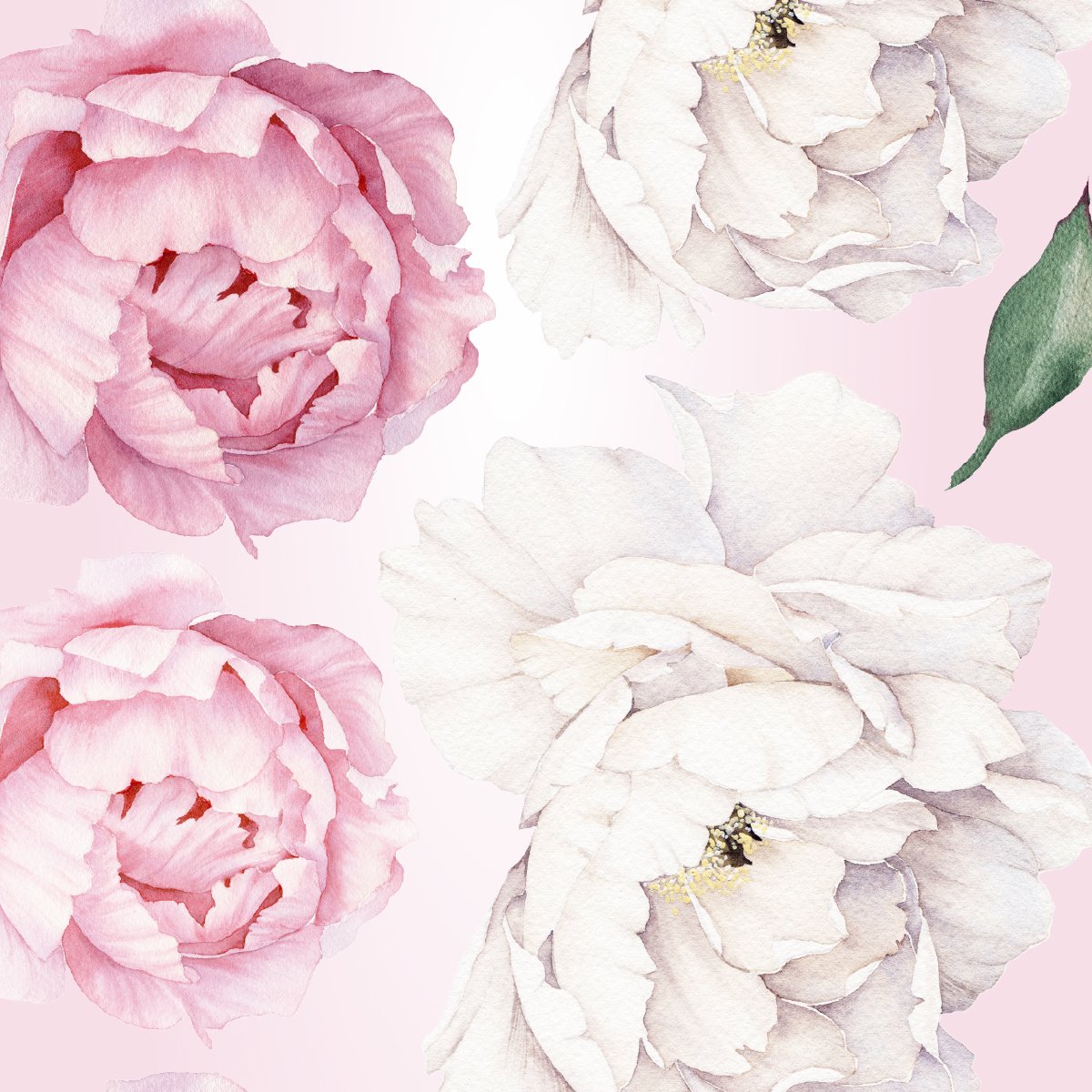 Naklejki na ścianę białe i różowe rośliny do salonu#kolor_rozowy