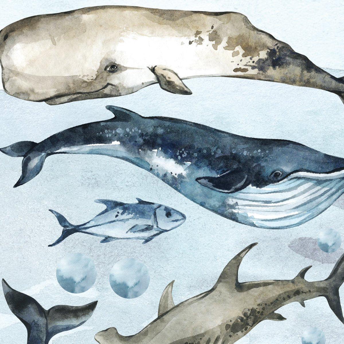 Naklejki na ścianę ryby i zwierzęta morskie