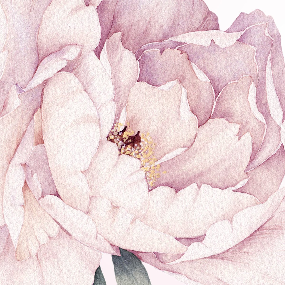 Naklejki na ścianę różowe rośliny do salonu#kolor_rozowy-mix