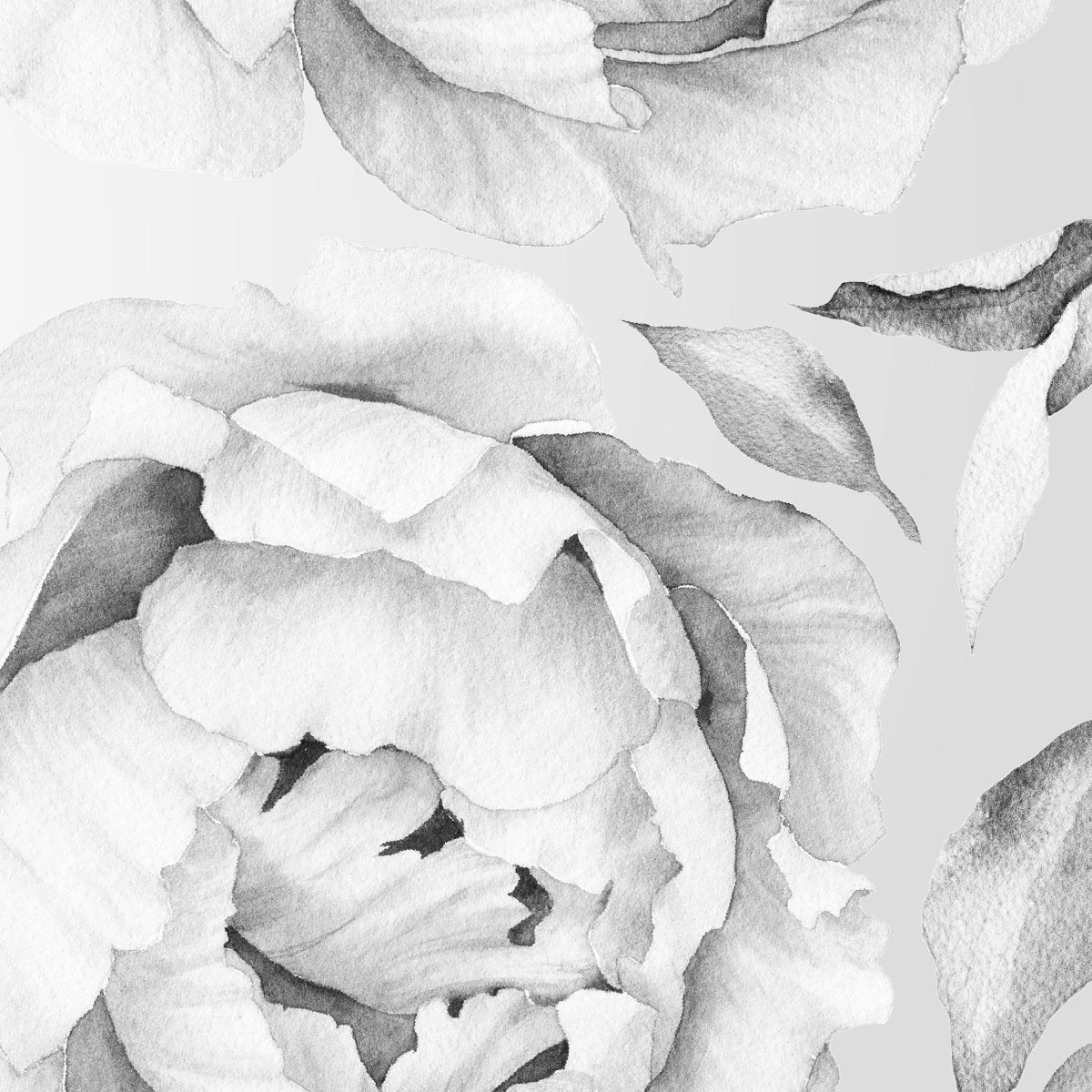 Szare piwonie - naklejki na ścianę do pokoju młodzieżowego#kolor_szary