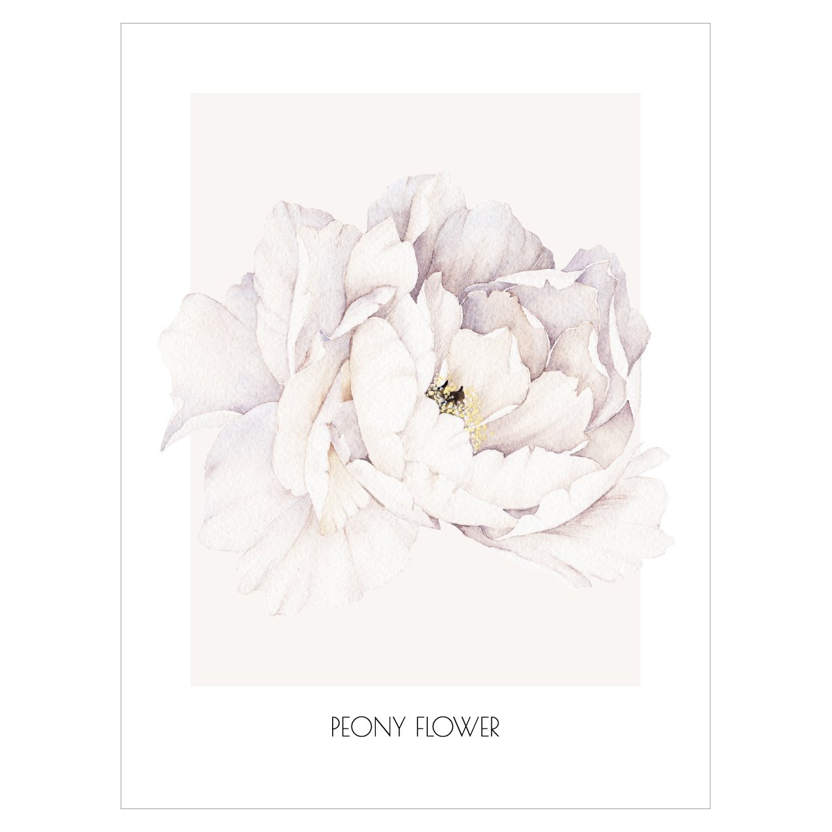 Plakat do salonu kwitnąca piwonia#kolor_brzoskwiniowy