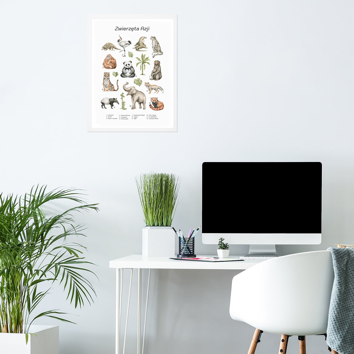 Plakat edukacyjny dla dzieci ze zwierzętami zamieszkującymi tereny Azji oprawiony w białą ramkę powieszony nad biurkiem dziecka#jezyk_polski