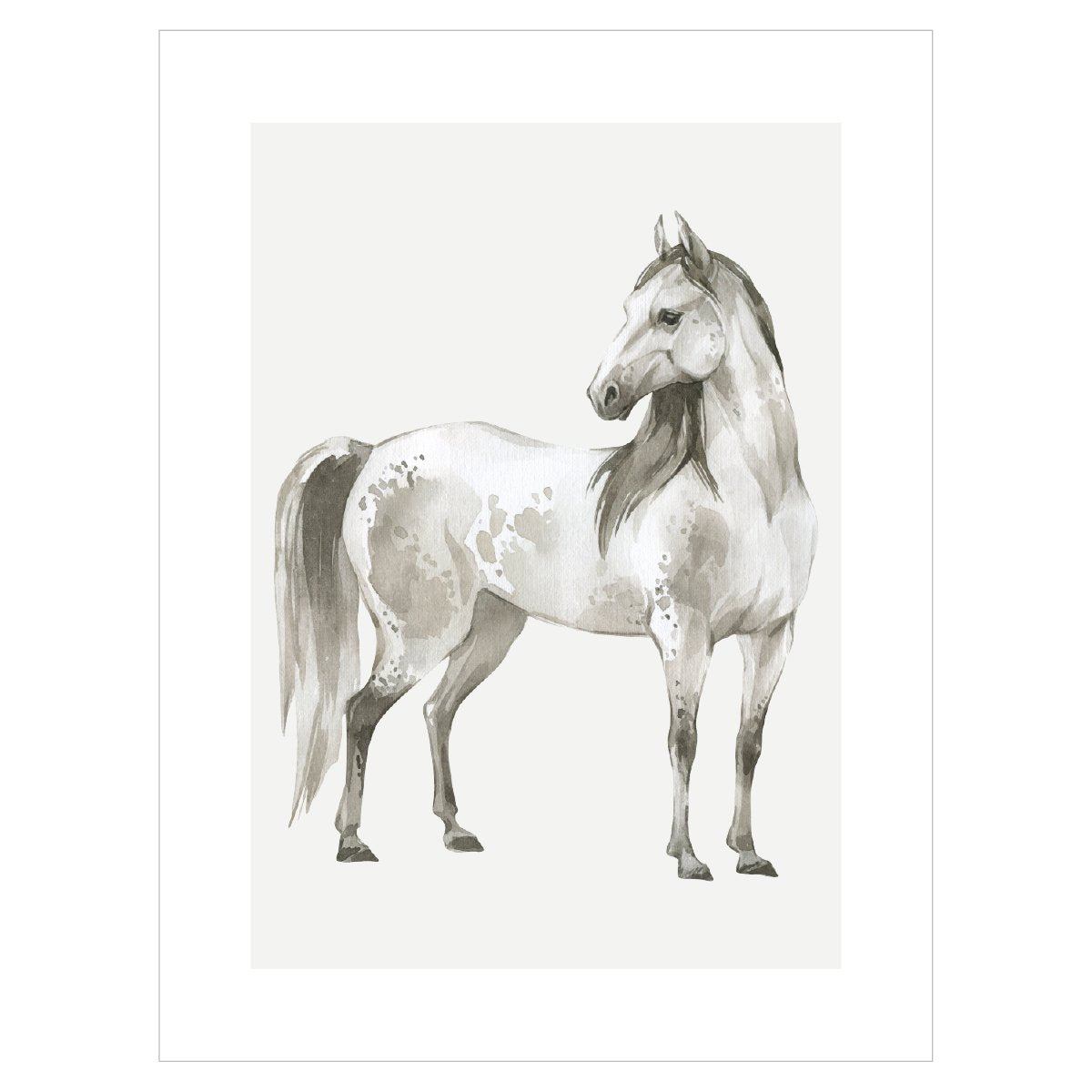 Plakat na ścianę - biały koń