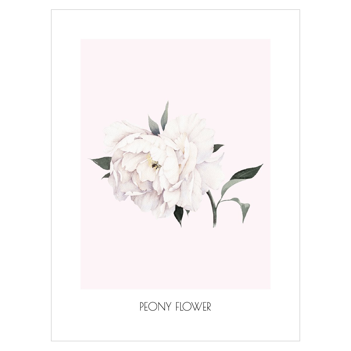 Plakat na ścianę - kwiat piwonii vintage#kolor_rozowy