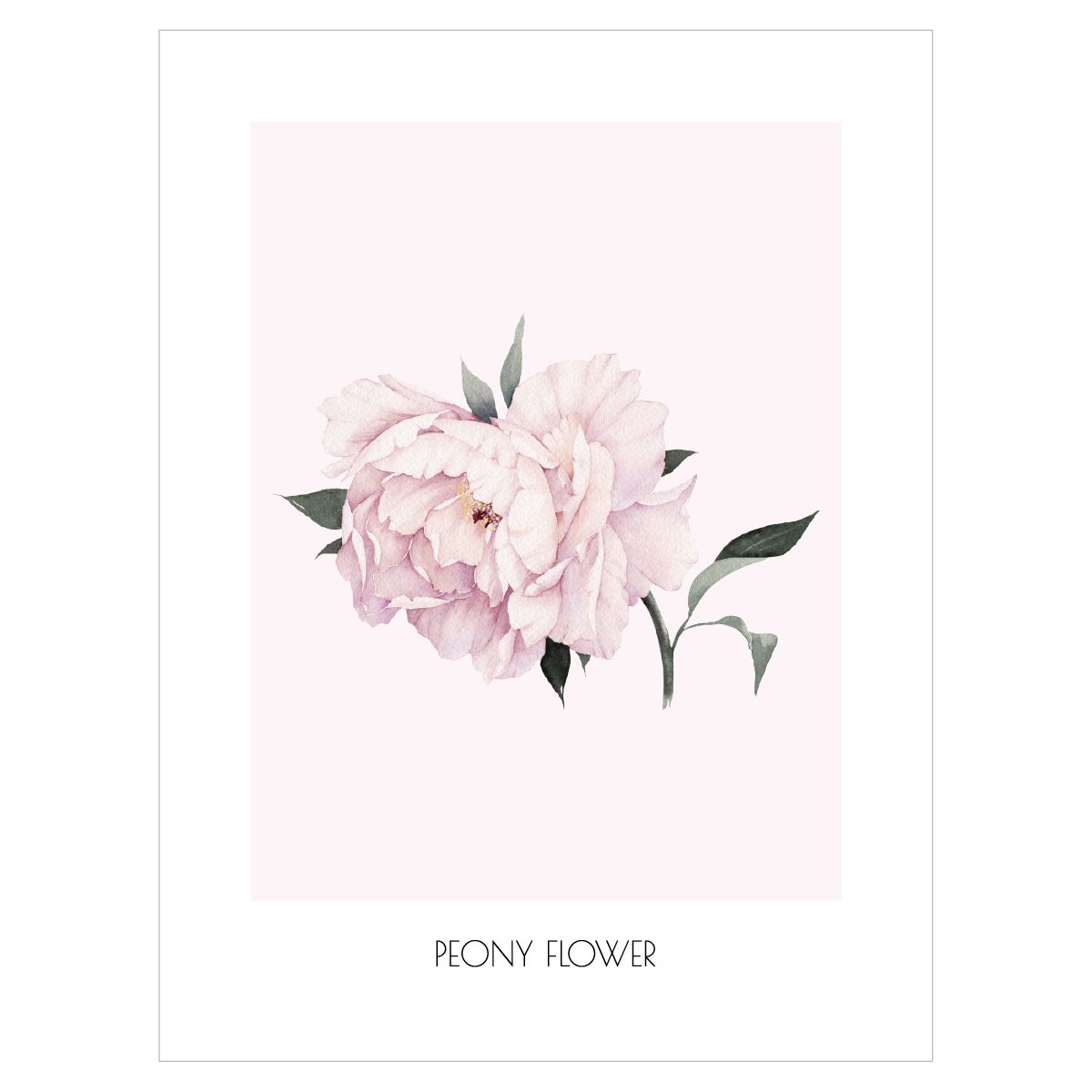 Plakat na ścianę - akwarelowa piwonia#kolor_rozowy-mix
