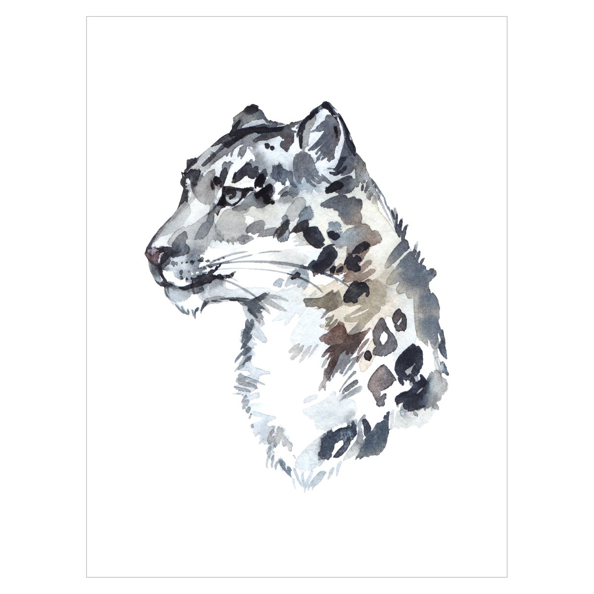 Plakat na ścianę - pantera śnieżna