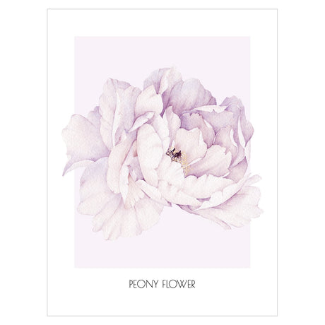 Plakat z rozkwitniętym kwiatem piwonii - peony flower#kolor_fioletowy