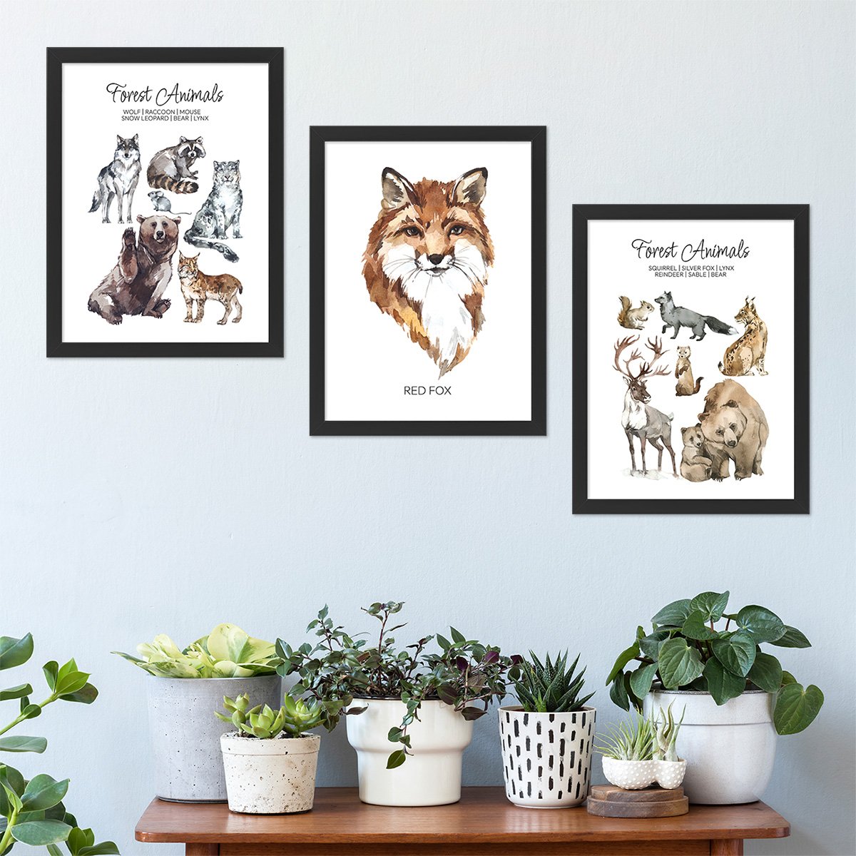 Plakat edukacyjny w czarnej ramce z rudym lisem, zwierzętami leśnymi i napisami w języku angielskim