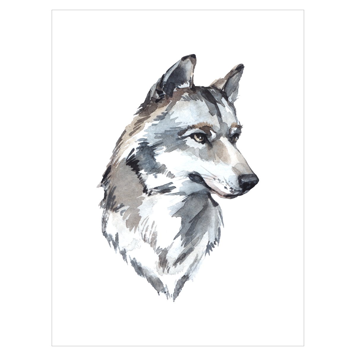 Plakat na ścianę - wilk
