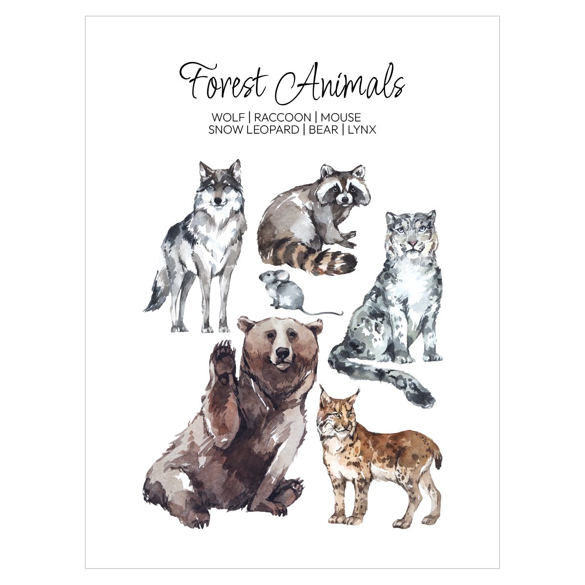 Plakat z misiem i zwierzętami leśnymi