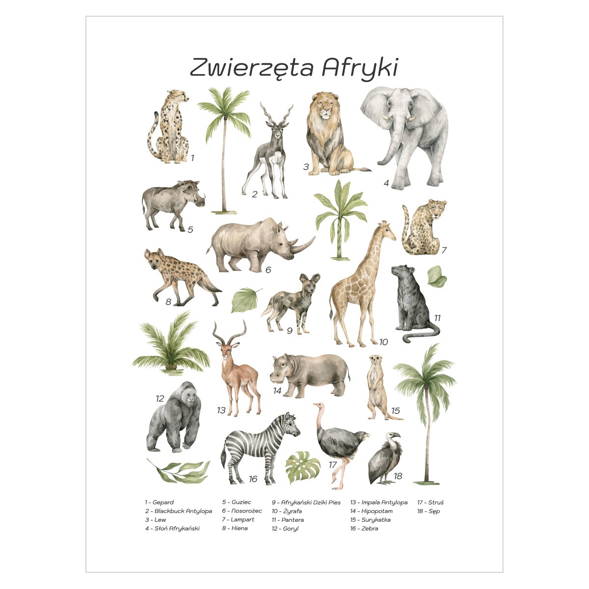 Plakat dla dzieci i młodzieży ze zwierzętami Afryki#jezyk_polski