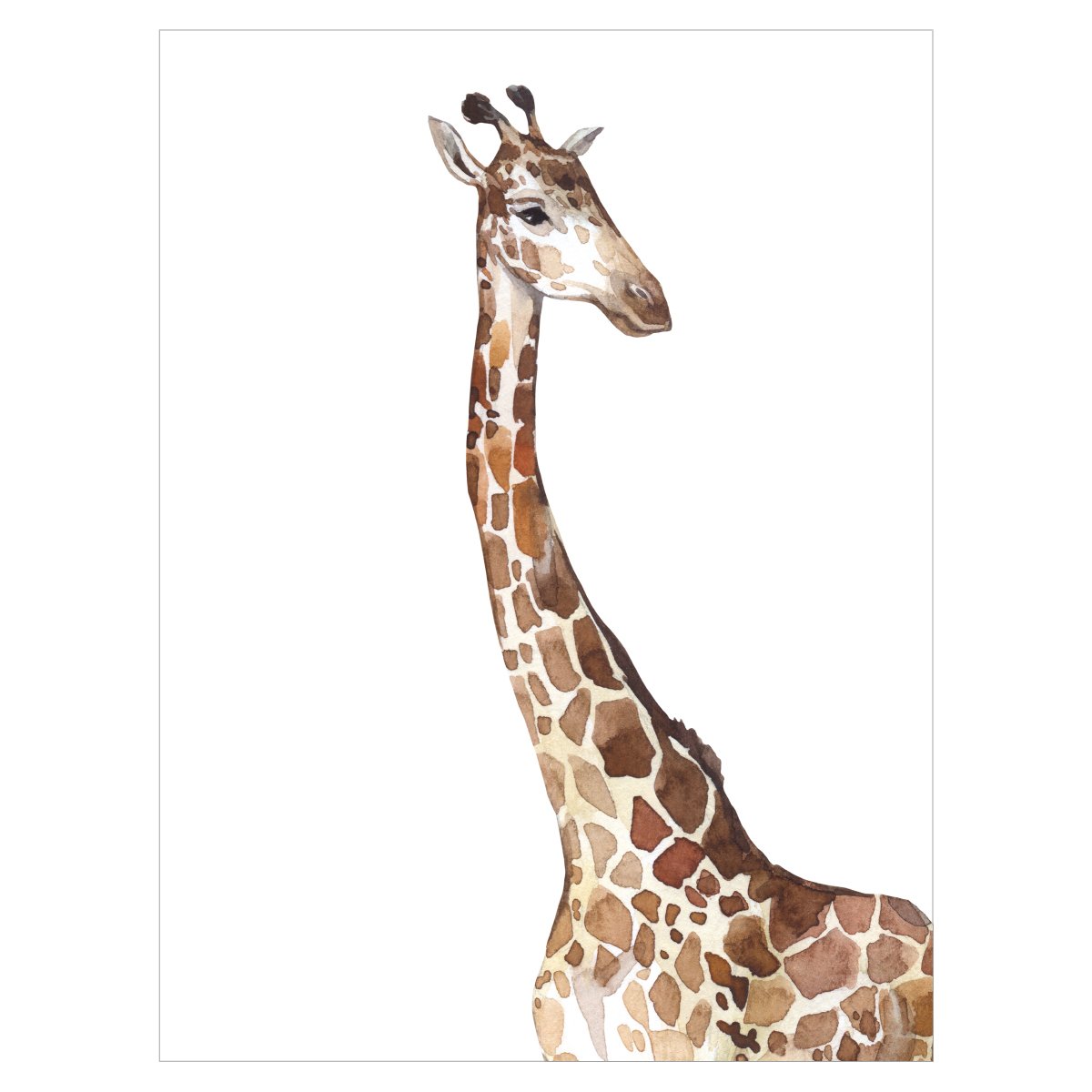 Plakat na ścianę - żyrafa