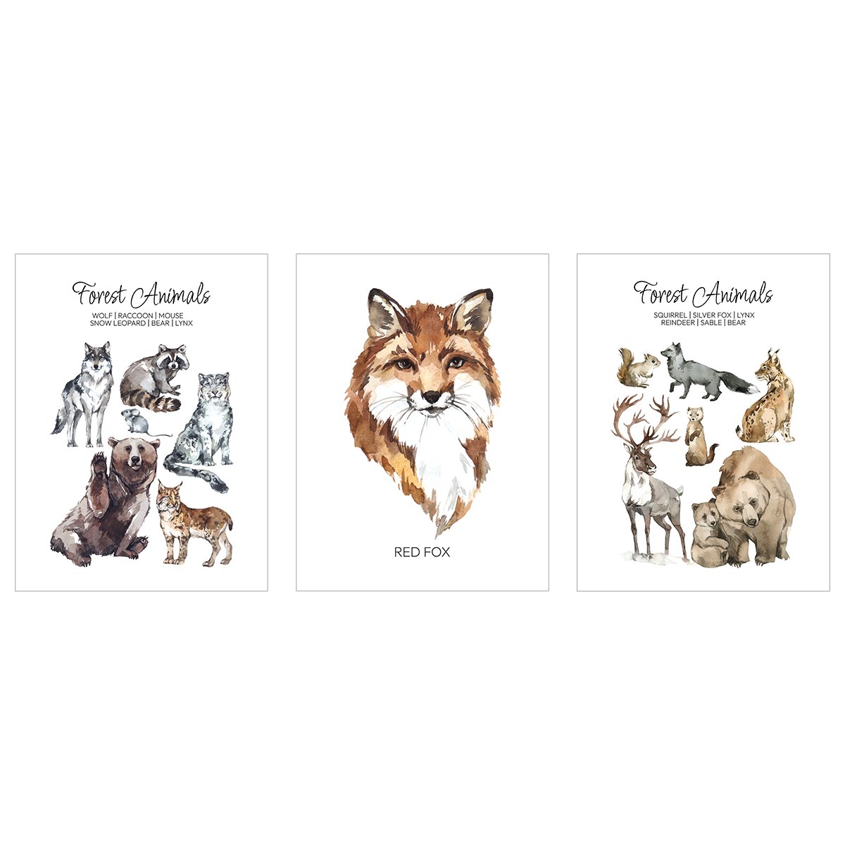 Plakaty edukacyjne w języku angielskim - zwierzęta leśne - zestaw trzech plakatów