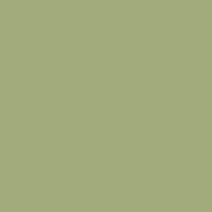 Kolor oliwkowy - kolekcja Animal World