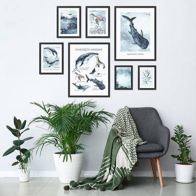 Galeria obrazów z czarnymi ramkami do salonu - akwarelowe ilustracje morza i zwierząt morskich#ramka_czarna