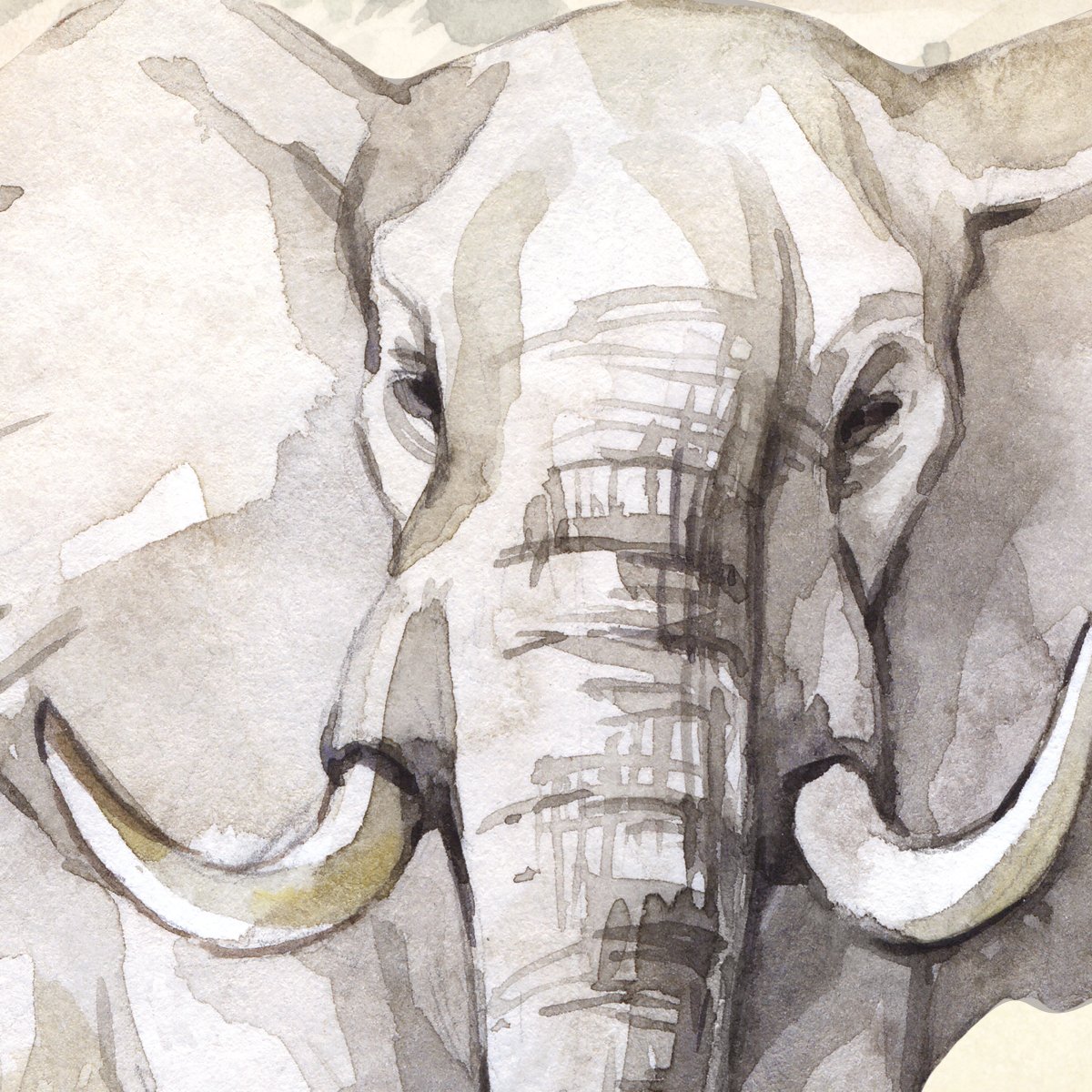 Duża, kolorowa naklejka na ścianę do pokoju dziecięcego zwierzęta z Afryki słoń