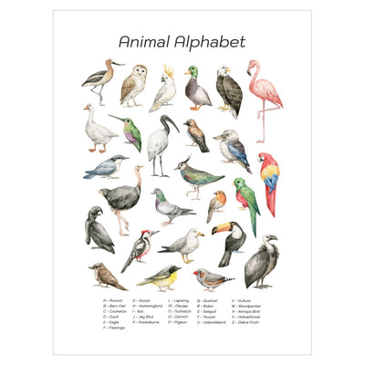 Edukacyjny plakat dla dzieci - alfabet z ptakami