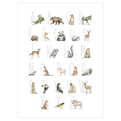 Plakat dla dzieci - alfabet i dzikie zwierzęta