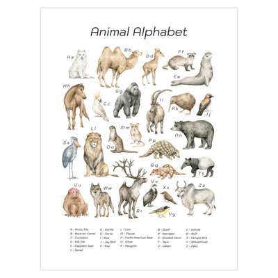 Plakat dla przedszkolaka - alfabet i dzikie zwierzęta