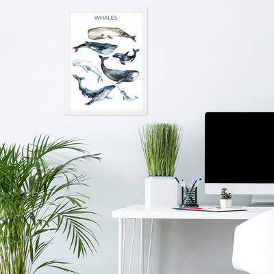 Plakat dla nastolatka whales - wieloryby