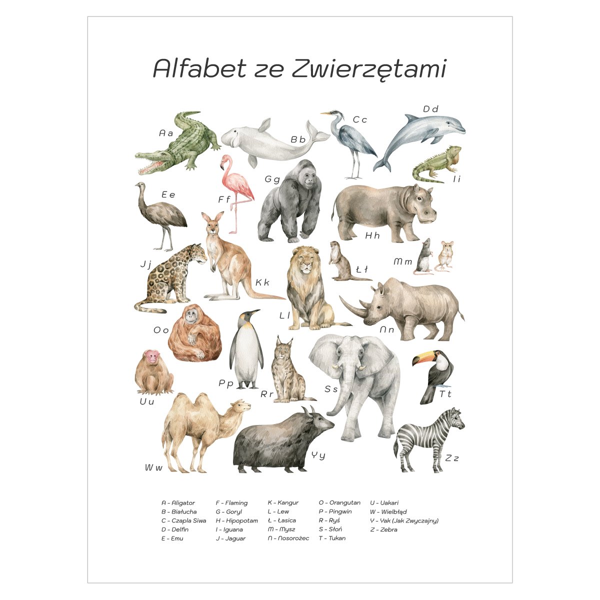 Plakat dla przedszkolaka - alfabet z dzikimi zwierzętami