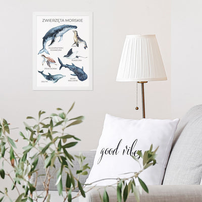 Plakat do salonu zwierzęta morskie w białej ramie