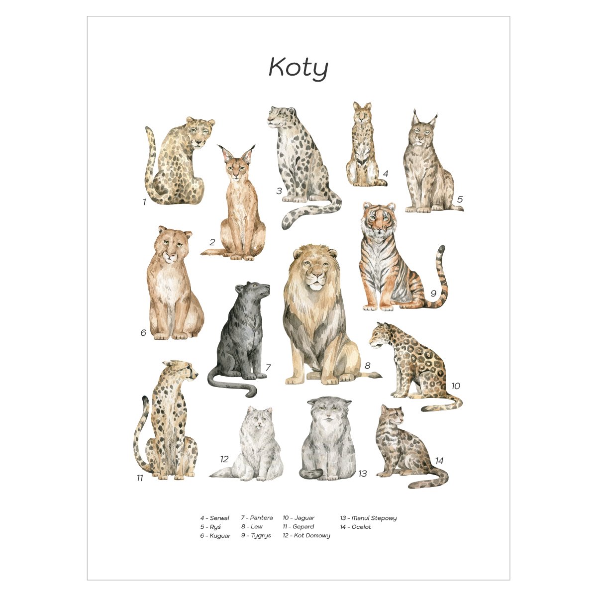 Plakat dla dzieci - dzikie koty#jezyk_polski