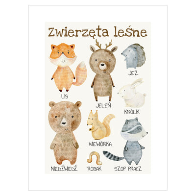 Plakat edukacyjny dla dzieci - zwierzęta leśne