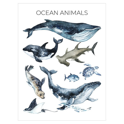 Plakat edukacyjny na ścianę - zwierzęta morskie