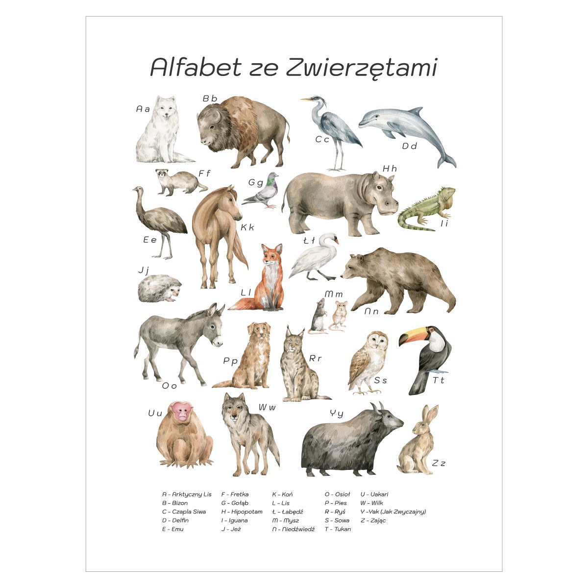 Plakat edukacyjny dla dzieci - alfabet ze zwierzętami