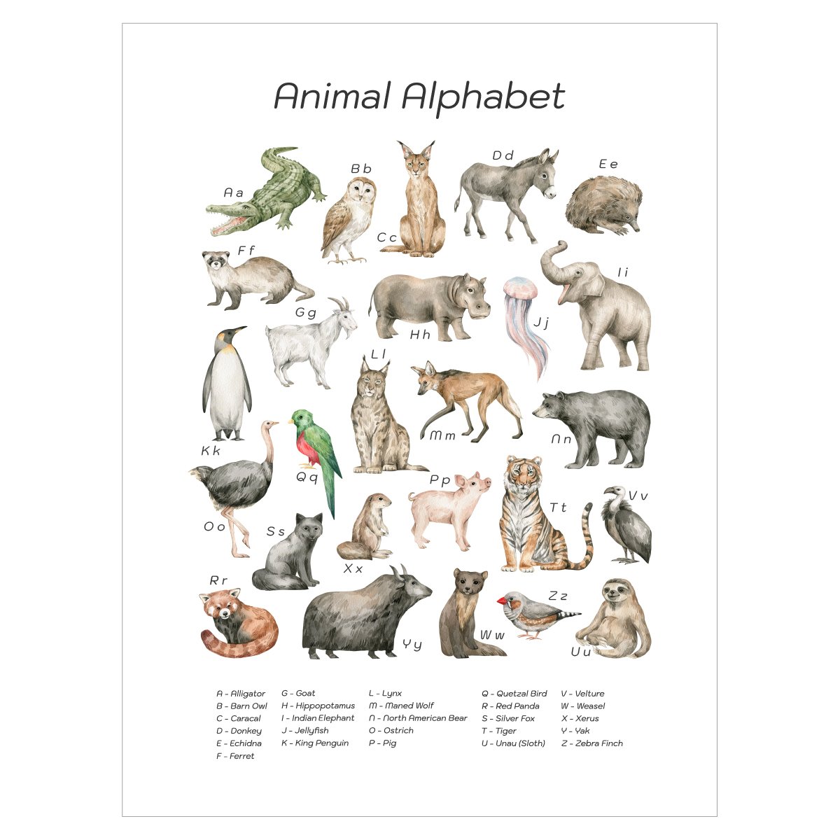 Plakat edukacyjny dla dzieci z alfabetem - zwierzęta