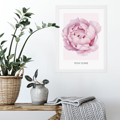 Plakat na ścianę do przedpokoju różowy kwiat piwonii w białej ramce#kolor_rozowy-mix
