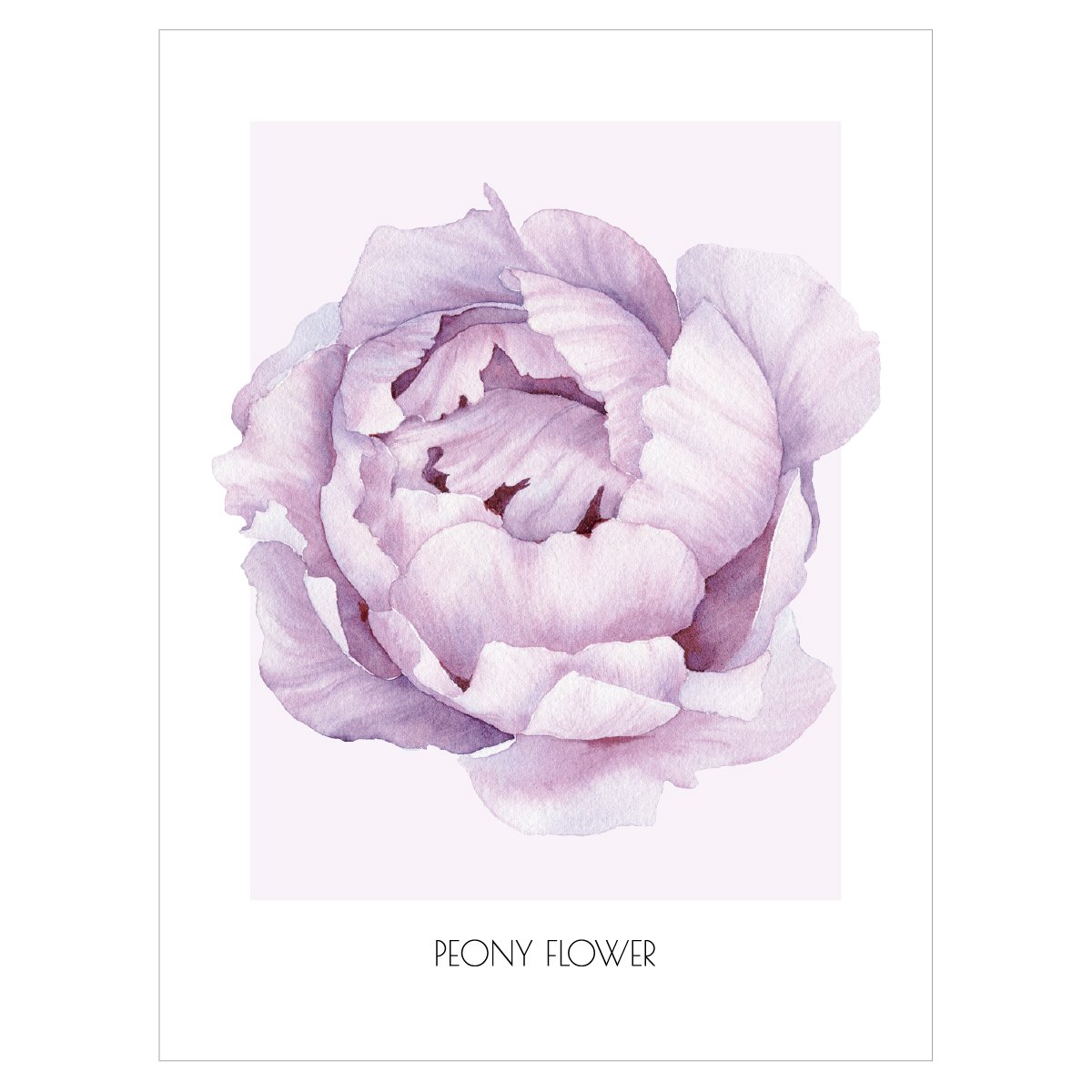 Plakat do pokoju dziecięcego z fioletowym kwiatem piwoniI - PEONY FLOWER#kolor_fioletowy