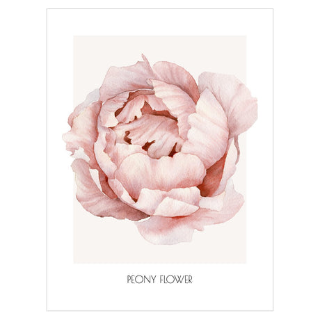 Plakat na ścianę do biura - vintage peony#kolor_brzoskwiniowy