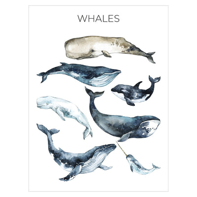 Plakat na ścianę - wieloryby