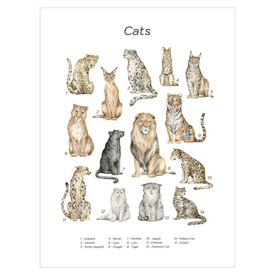 Plakat dla dzieci z dzikimi kotami - pomysł na prezent dla dziecka#jezyk_angielski