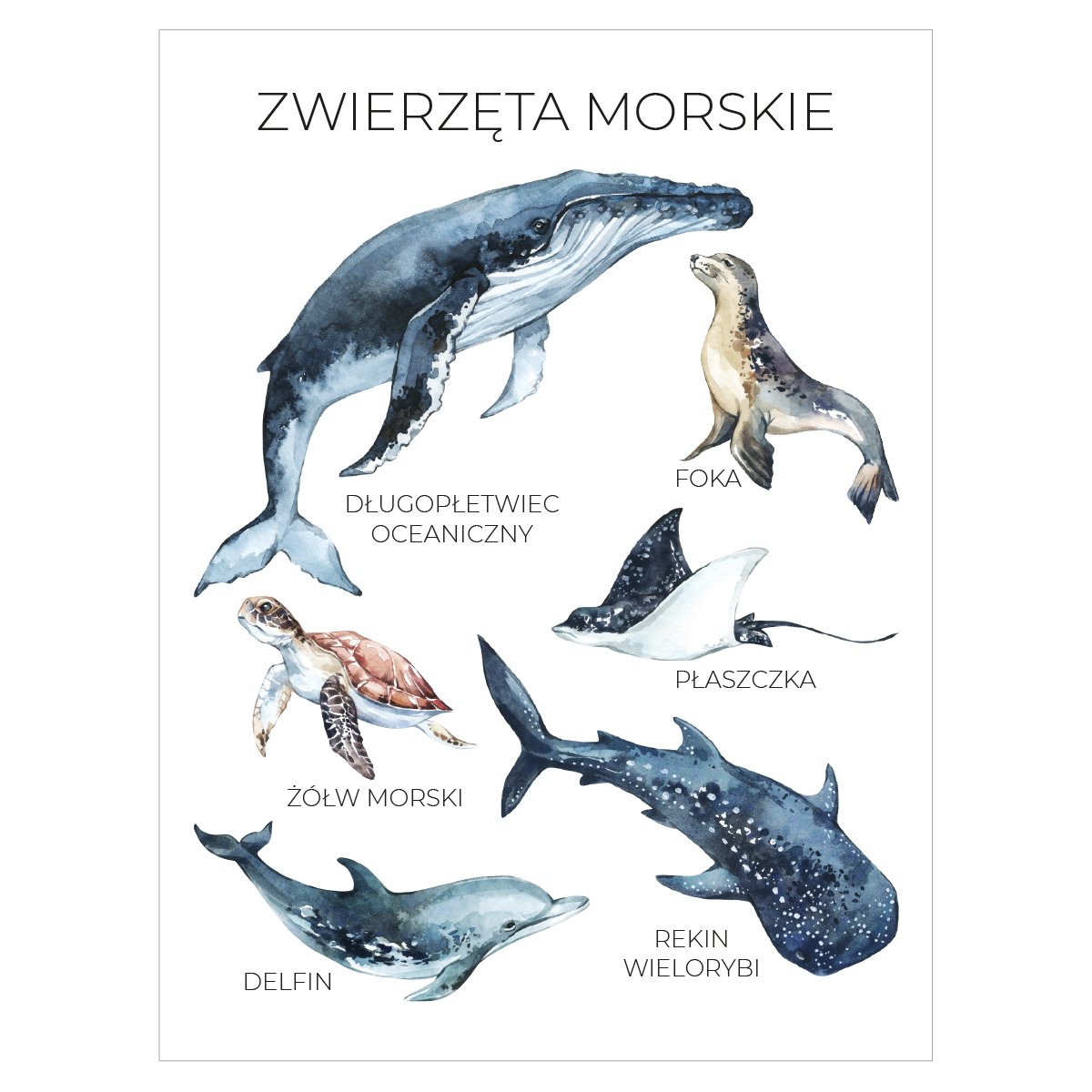 Plakat z napisami - zwierzęta morskie