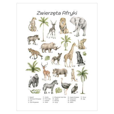 Plakat dla dzieci i młodzieży ze zwierzętami Afryki#jezyk_polski