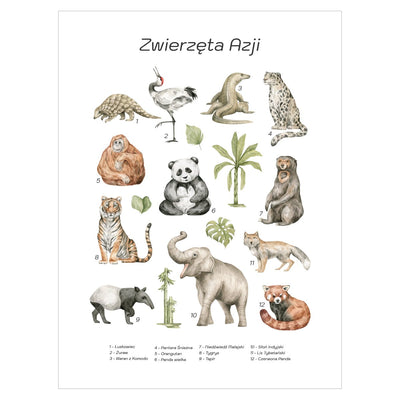 Plakat dla dzieci ze zwierzętami Azji#jezyk_polski