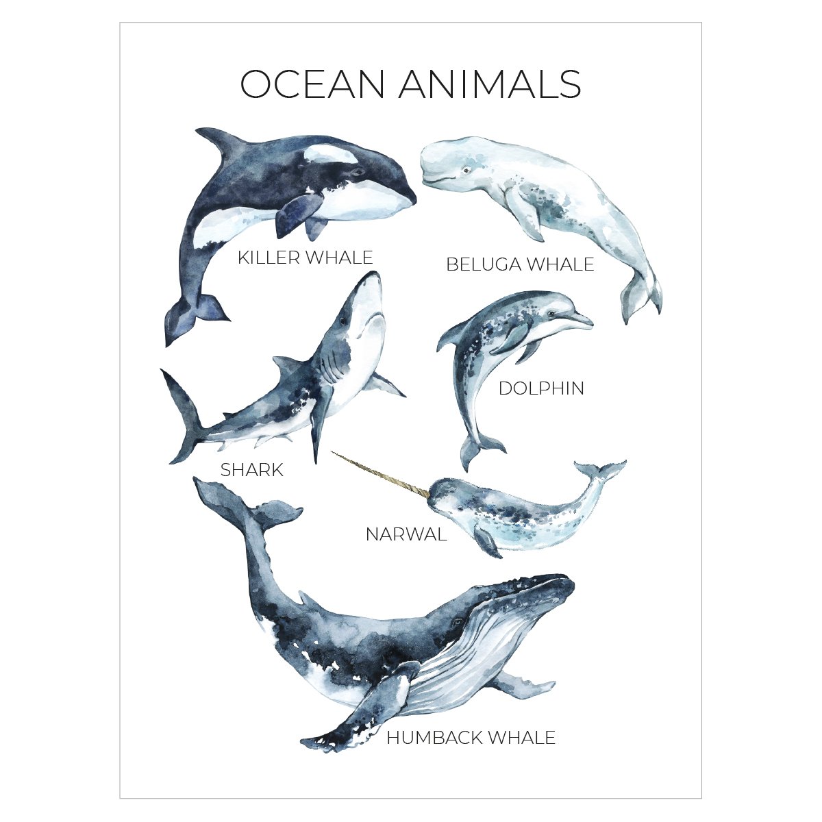 Plakat na ścianę ze zwierzętami morskimi