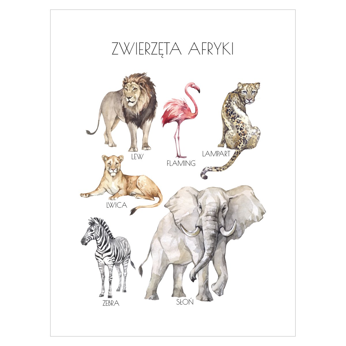 Plakat - zwierzęta Afryki 