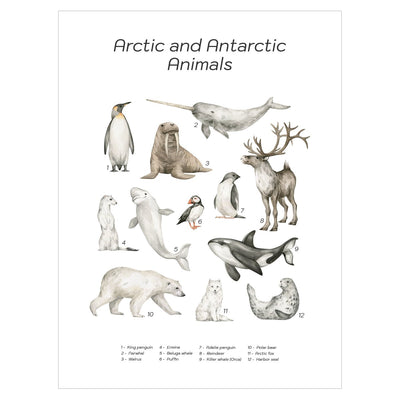 Plakat dla dzieci zwierzęta Arktyczne niedźwiedź polarny, renifer i pingwin#jezyk_angielski