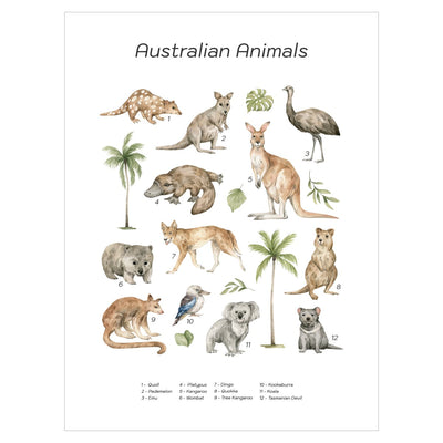 Plakat dla dzieci malowane zwierzęta Australii - kangur, koala i dingo