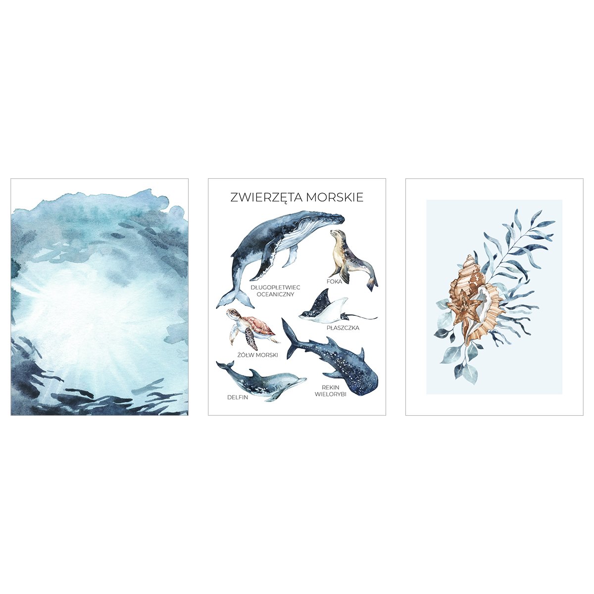 Plakaty dla dzieci i młodzieży - zwierzęta morskie - zestaw trzech plakatów
