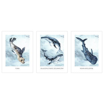 Plakaty dla dzieci i młodzieży z foką, wielorybem i rekinem - zestaw trzech plakatów