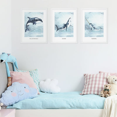 Plakaty dydaktyczne do pokoju dziecka ze zwierzętami morskimi - orką, rekinem i narwalem